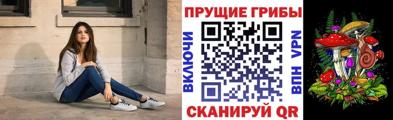 Псилоцибиновые грибы ЛСД  Горячий Ключ 